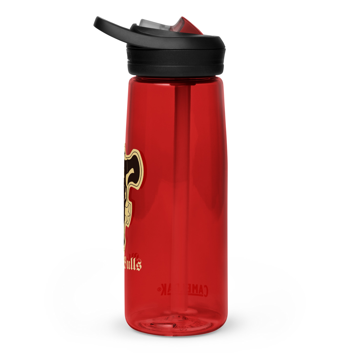 Sports water bottle