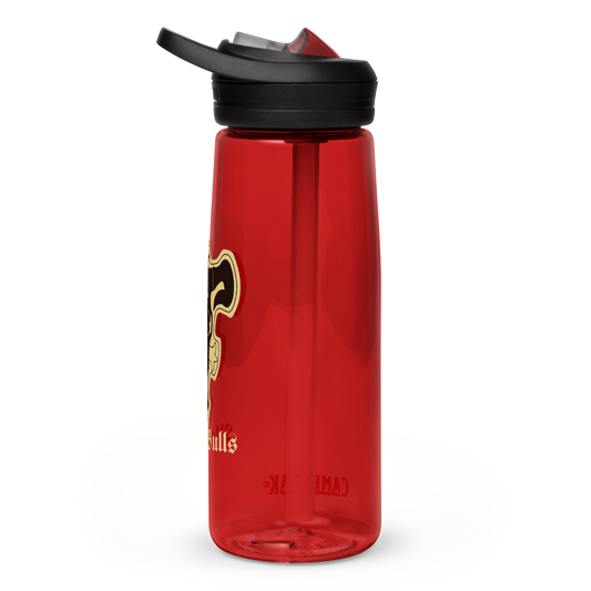 Sports water bottle