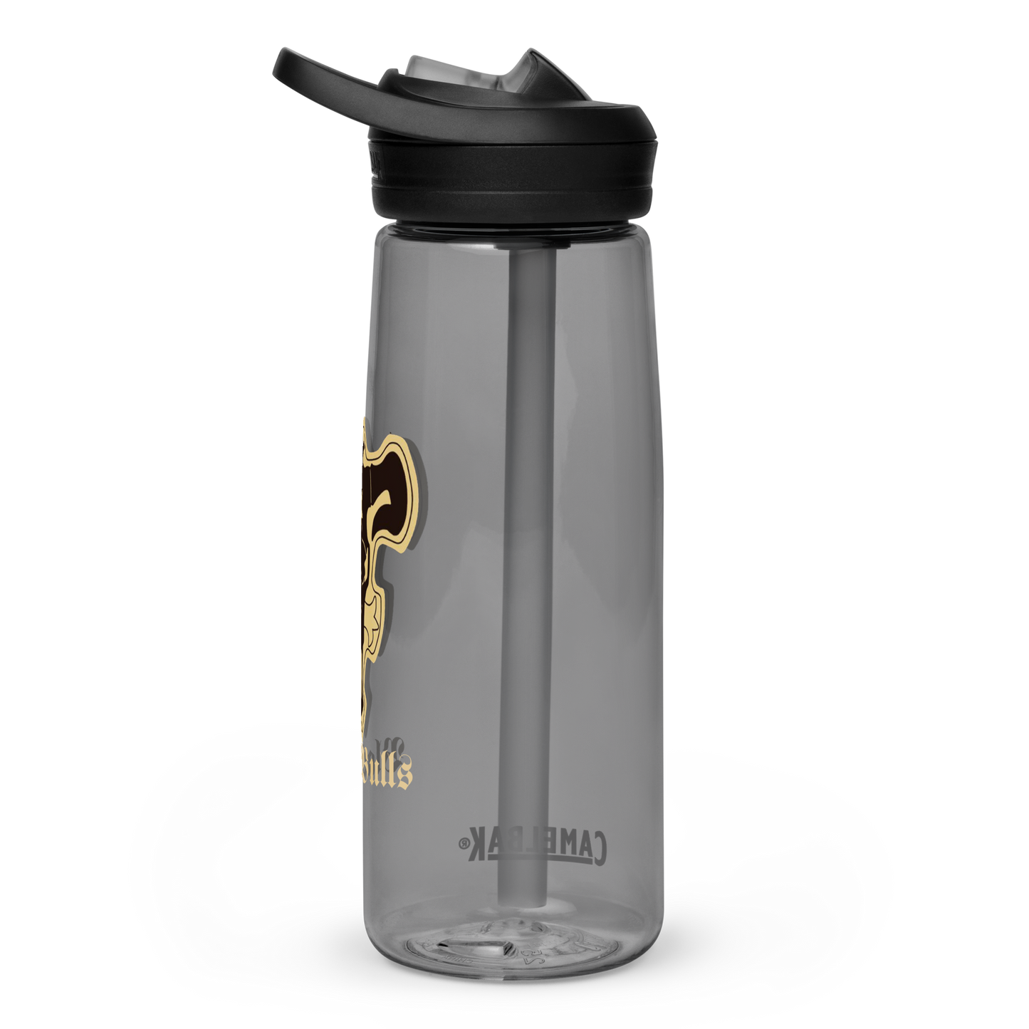 Sports water bottle