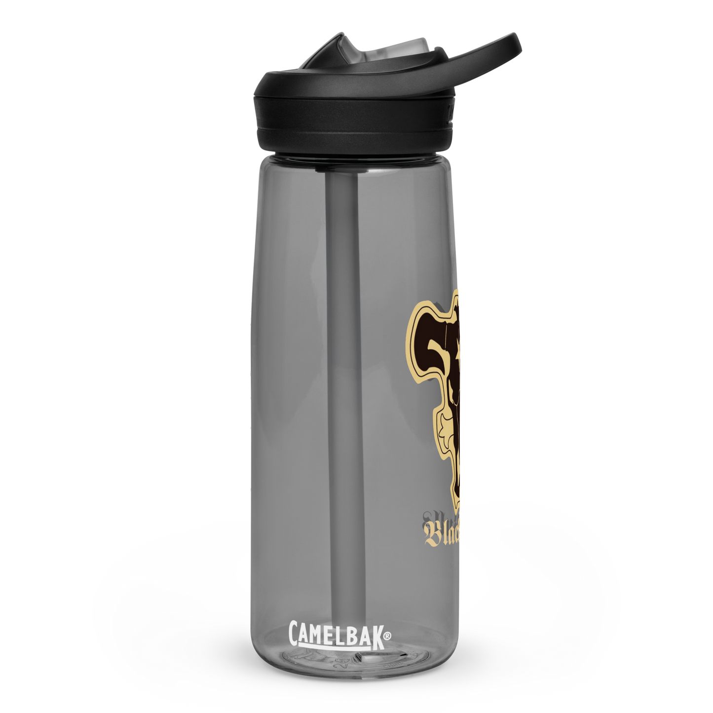 Sports water bottle