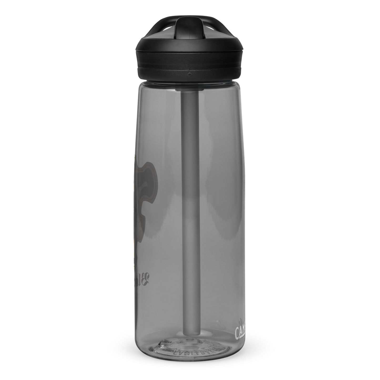 Sports water bottle