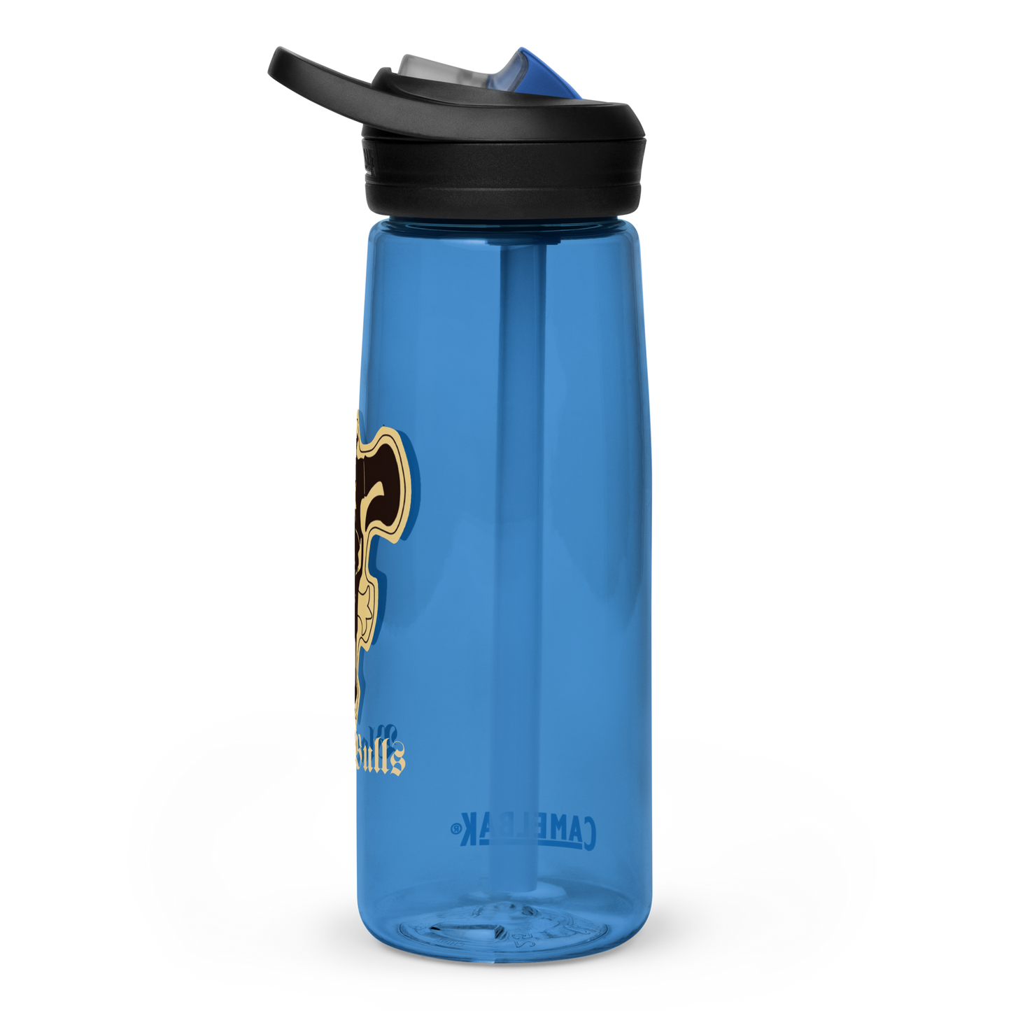 Sports water bottle