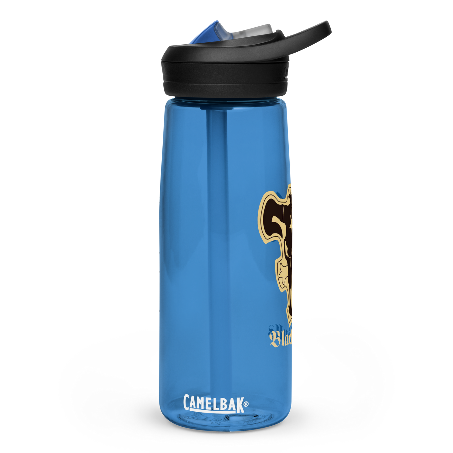 Sports water bottle