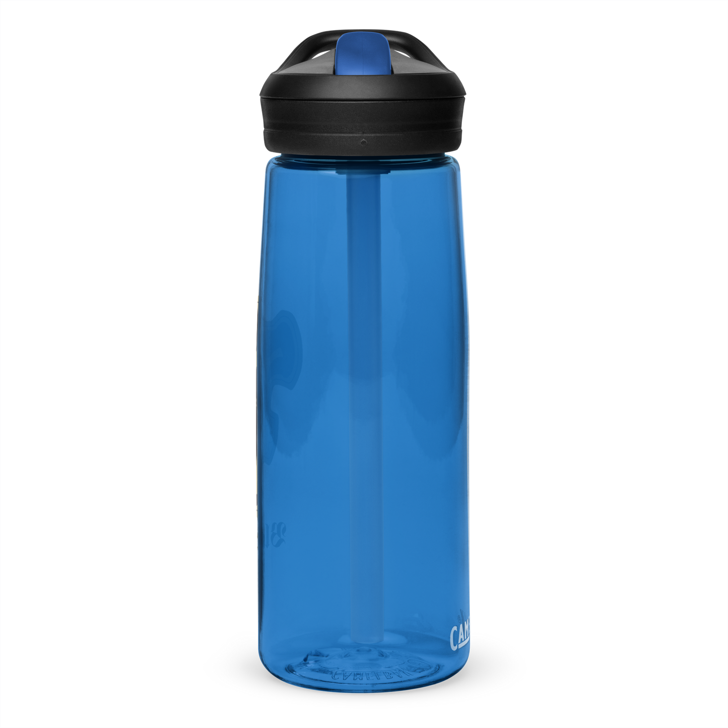 Sports water bottle